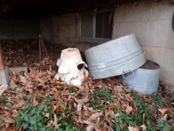 KODAK Digital Still Camera April 11th Auction