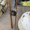 Keenan Elliott antique auction 8-29-2026
