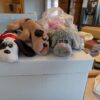Keenan Elliott antique auction 7-29-2026