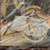 Keenan Elliott antique auction 8-29-2026
