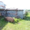 July 11th Auction