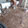 July 11th Auction
