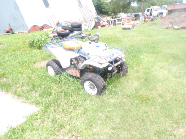 July 11th Auction