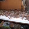 July 11th Auction