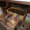 July 11th Auction