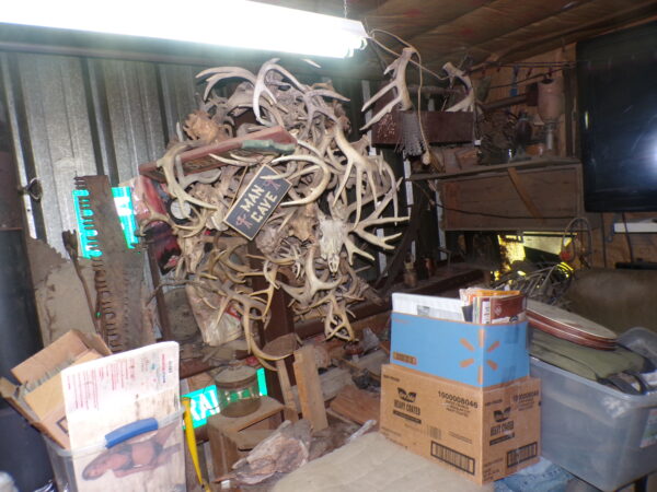 July 11th Auction