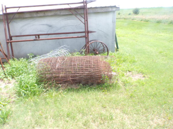July 11th Auction