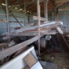 July 11th Auction
