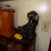 Estate Auction 9-12-2026